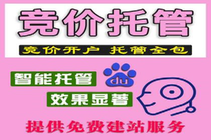 SEM推广案例：效果评估与改进